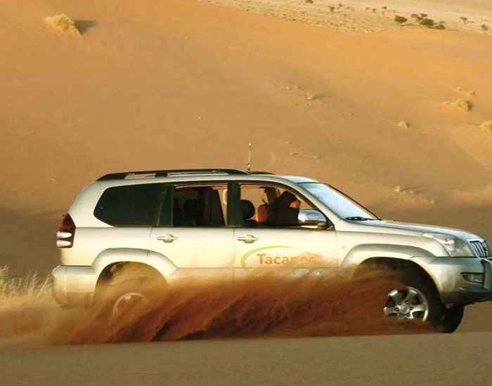 4WD Tunisia Sahara Desert Oasis