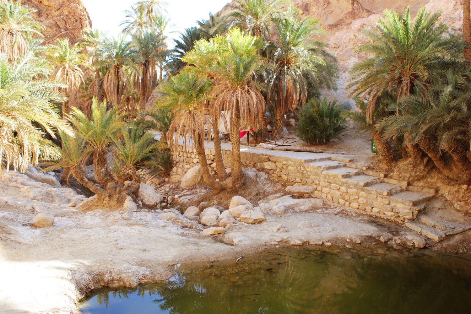 Chebika Oasis Tunisia