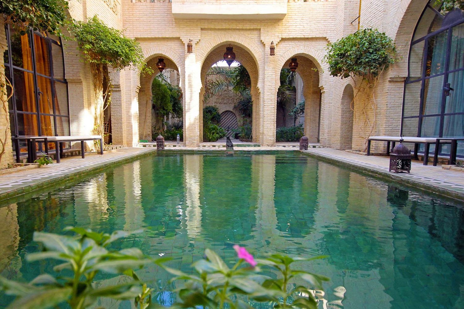 Oasis Tozeur Tunisia