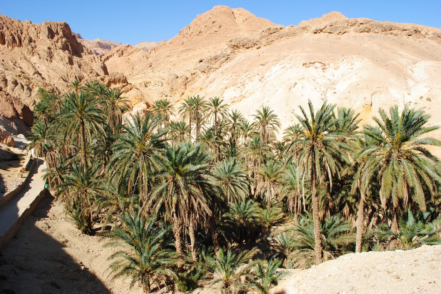Chebika Oasis Tunisia