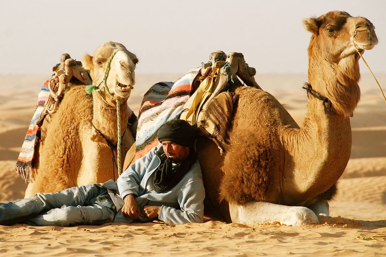 Sahara Desert Camel Trekking in Tunisia