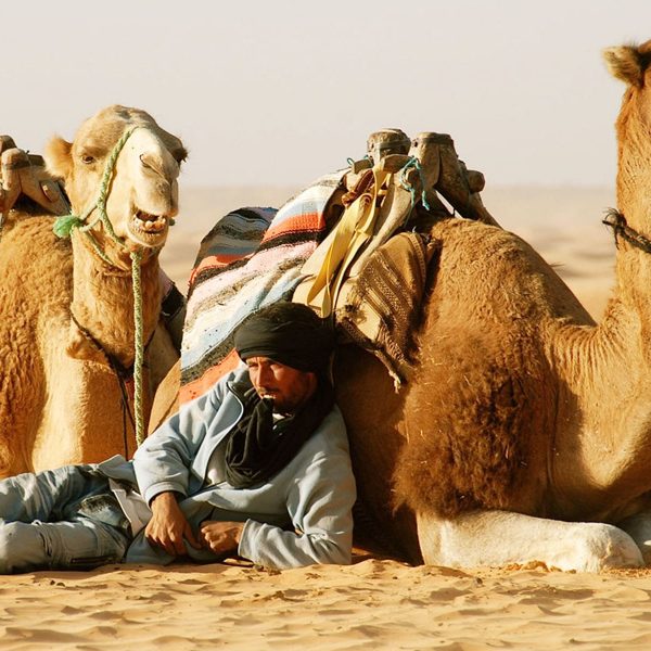 Sahara Desert Camel Trekking in Tunisia