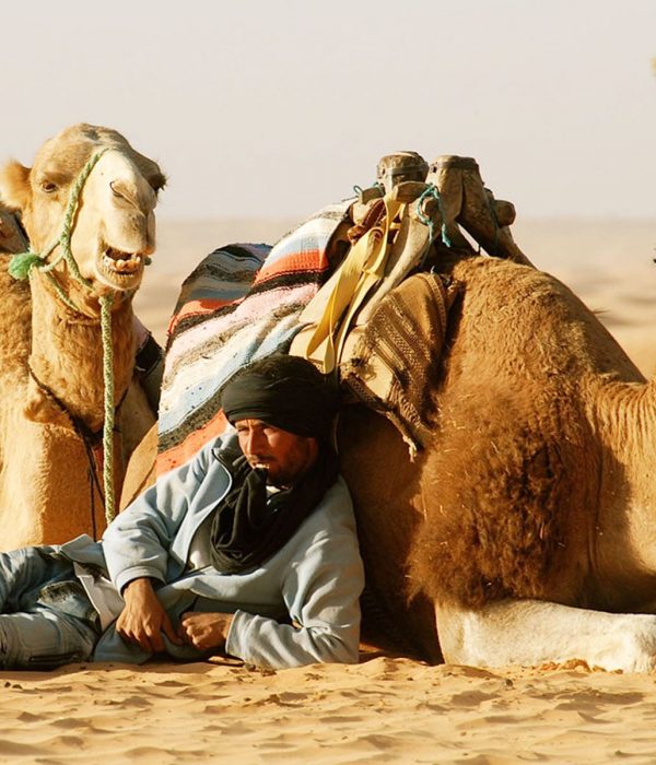 Sahara Desert Camel Trekking in Tunisia