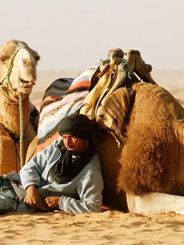 Sahara Desert Camel Trekking in Tunisia