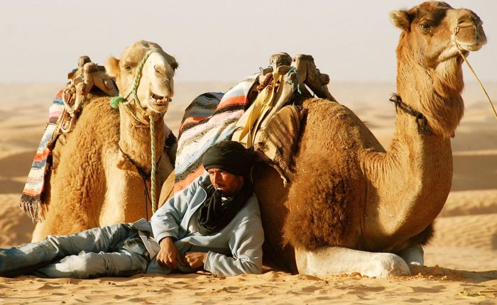 Sahara Desert Camel Trekking in Tunisia