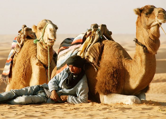 Sahara Desert Camel Trekking in Tunisia