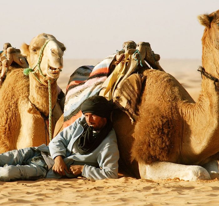 Sahara Desert Camel Trekking in Tunisia