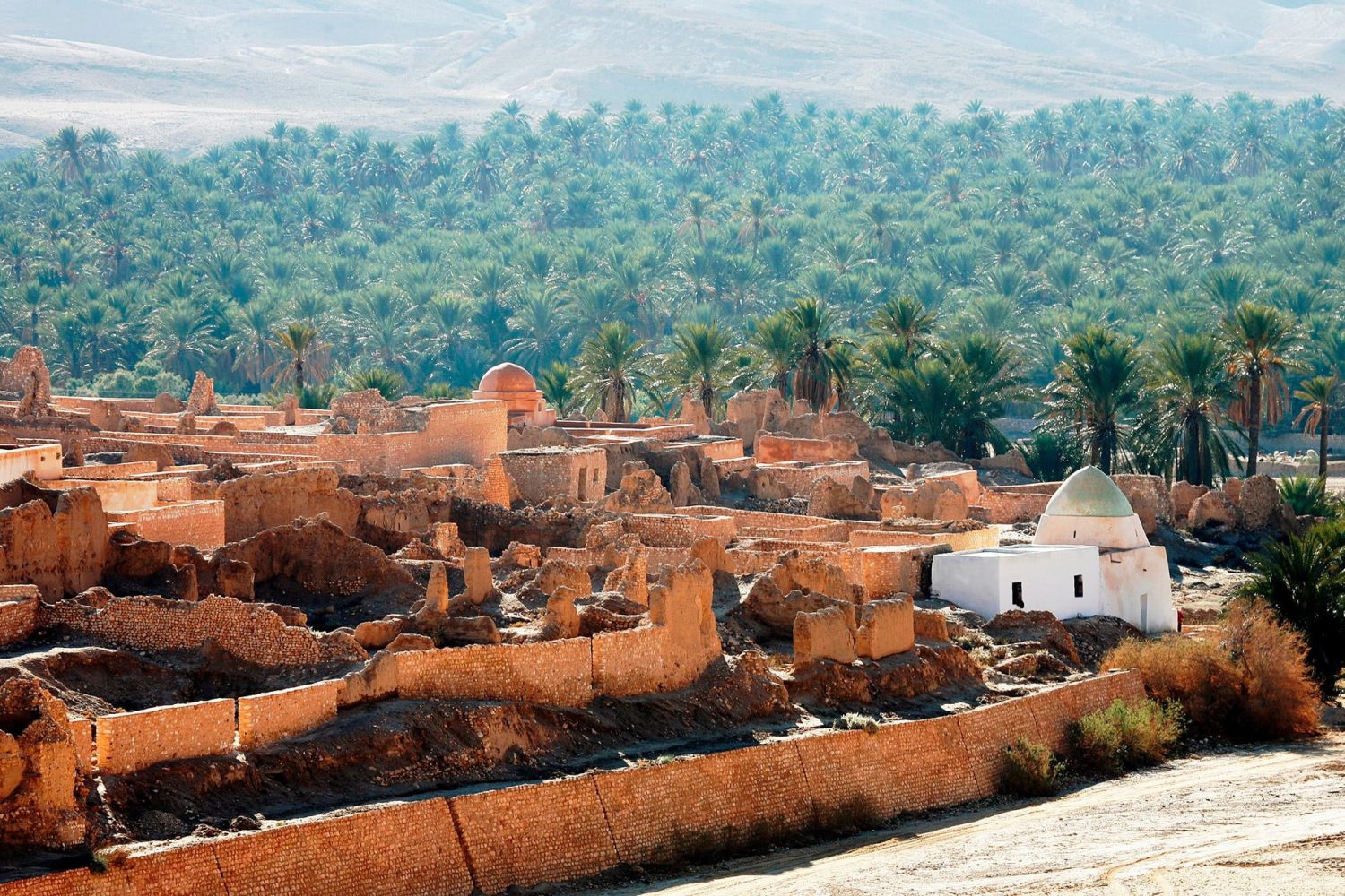 Tamerza oasis south Tunisia