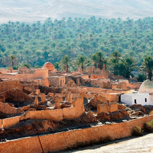 Tamerza oasis south Tunisia