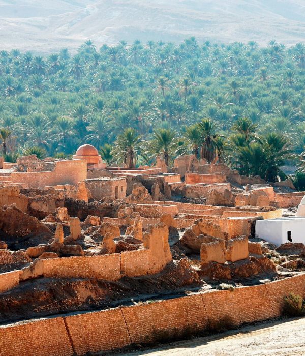 Tamerza oasis south Tunisia