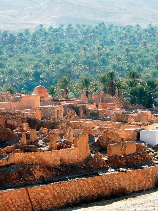 Tamerza oasis south Tunisia