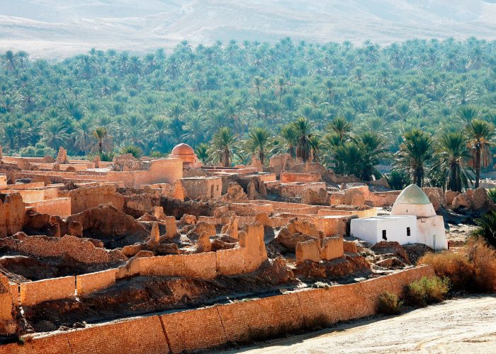 Tamerza oasis south Tunisia