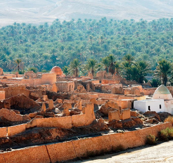 Tamerza oasis south Tunisia