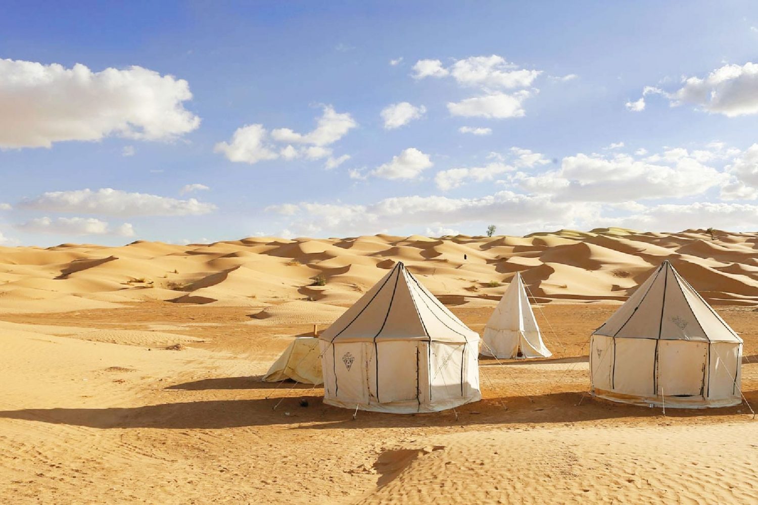 Campamento Sahara Tunez