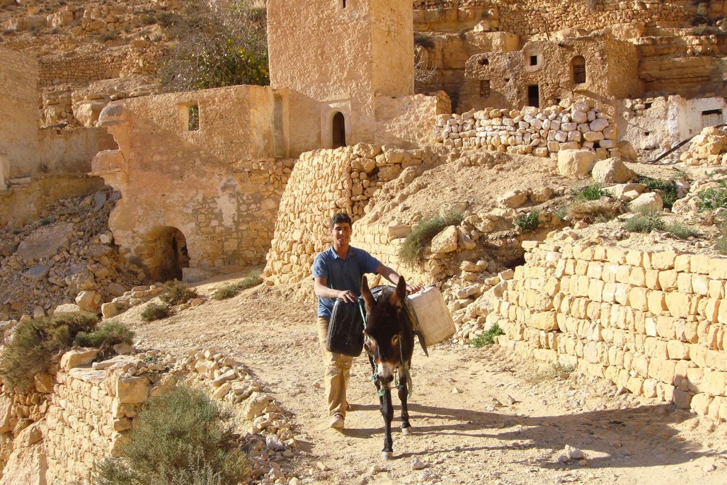 Experience nomadic lifestyle with a Berber Shepherd in Tataouine