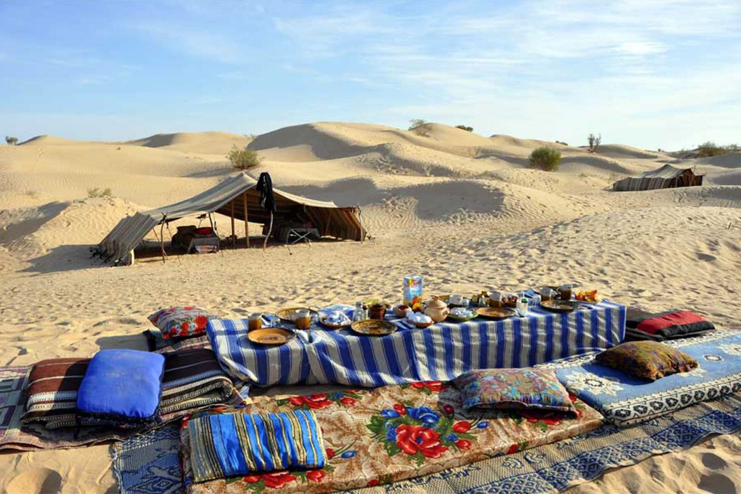 Camel ride tour: Overnight Bivouac Sahara