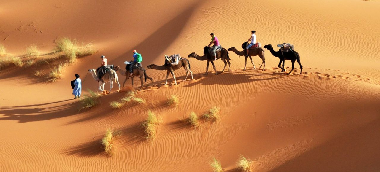 Overnight in Sahara Desert with Camel ride from Djerba