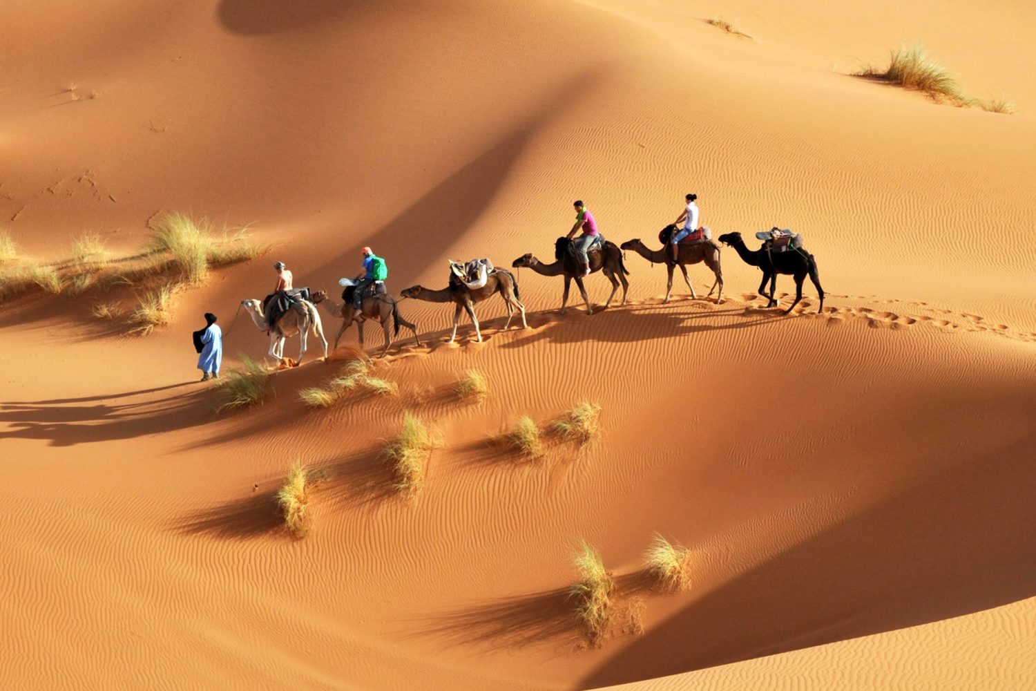 Overnight in Sahara Desert with Camel ride from Djerba