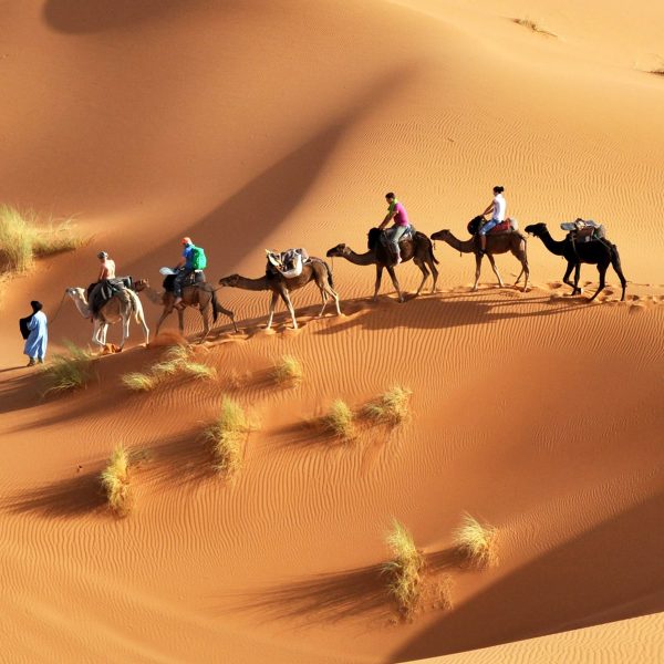 Overnight in Sahara Desert with Camel ride from Djerba