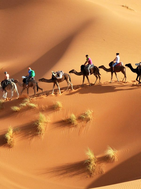 Overnight in Sahara Desert with Camel ride from Djerba