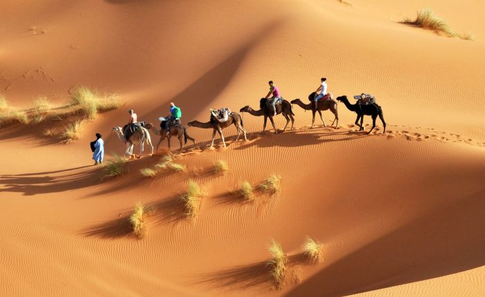 Overnight in Sahara Desert with Camel ride from Djerba