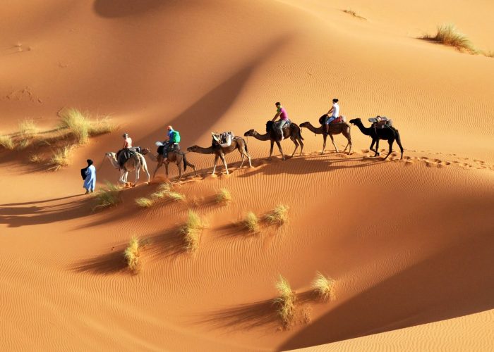 Overnight in Sahara Desert with Camel ride from Djerba