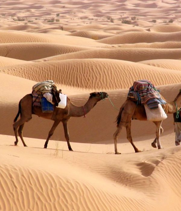 Sahara Desert Trek