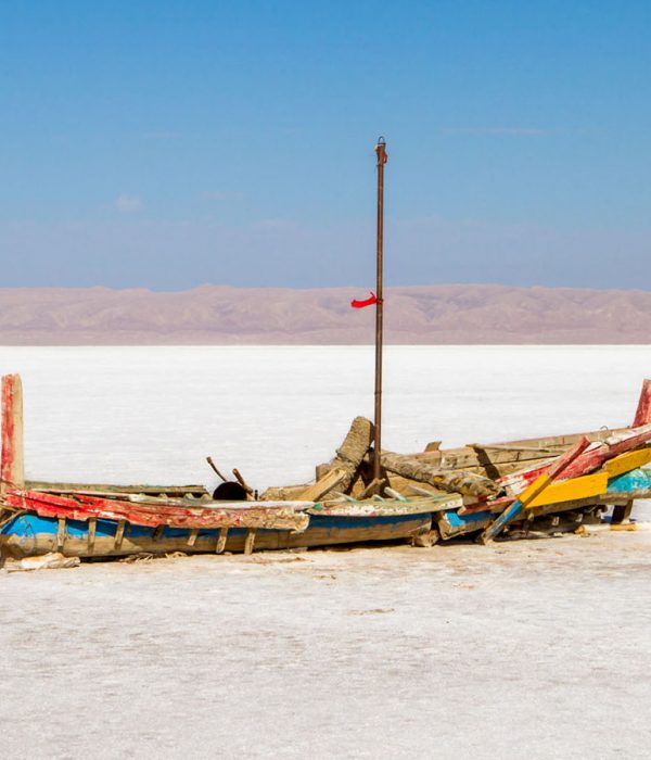 Oasis Desert: Chott El Jerid Salt Lake