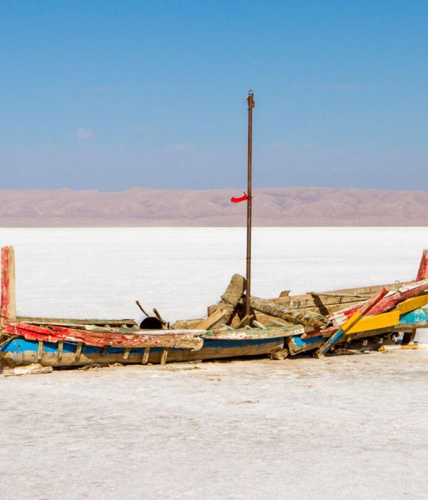 Oasis Desert: Chott El Jerid Salt Lake