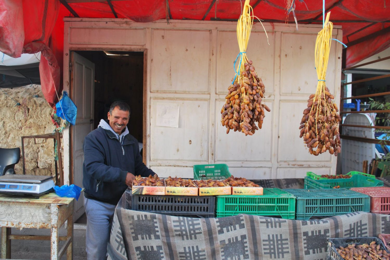 Dates Harvest