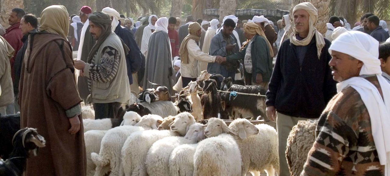 Douz Sahara Market Tunisia