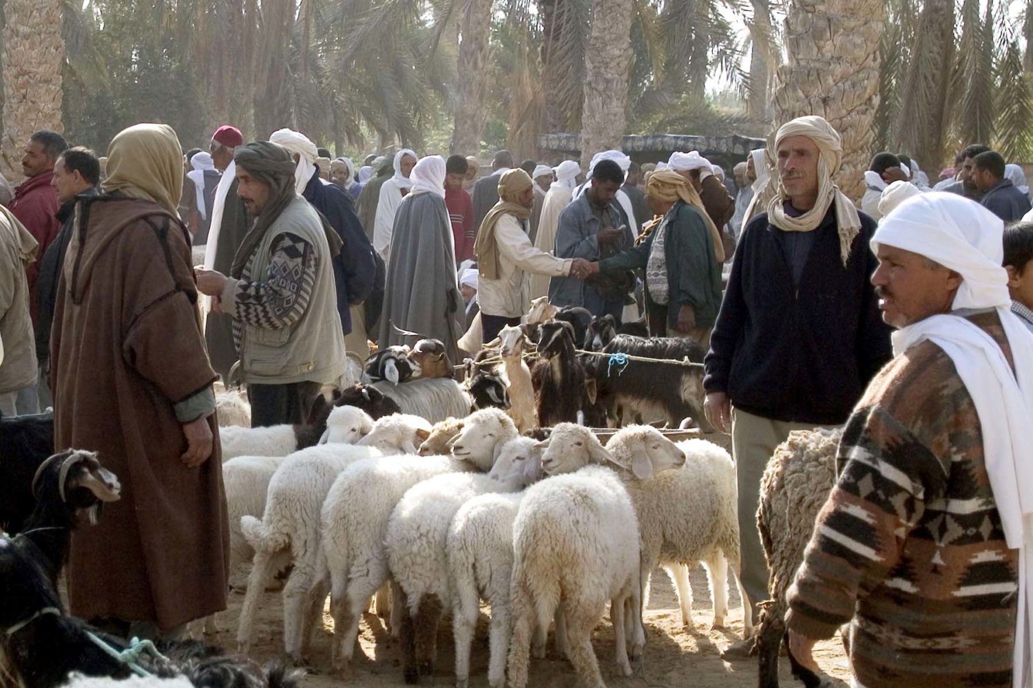 Douz Sahara Market Tunisia