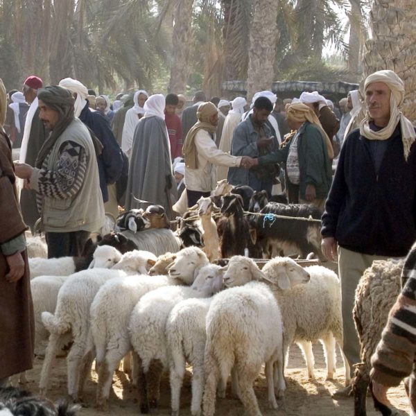 Douz Sahara Market Tunisia