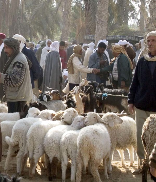 Douz Sahara Market Tunisia