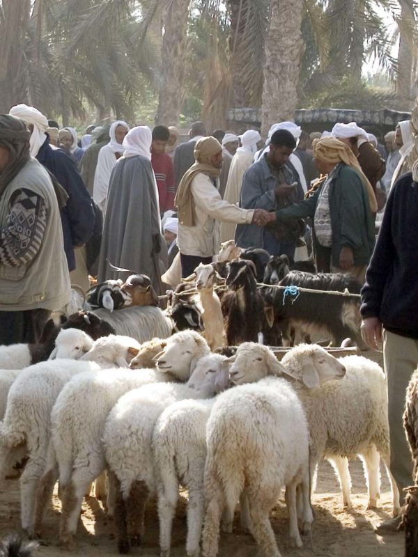 Douz Sahara Market Tunisia