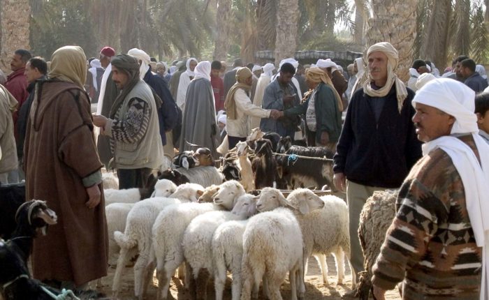 Douz Sahara Market Tunisia