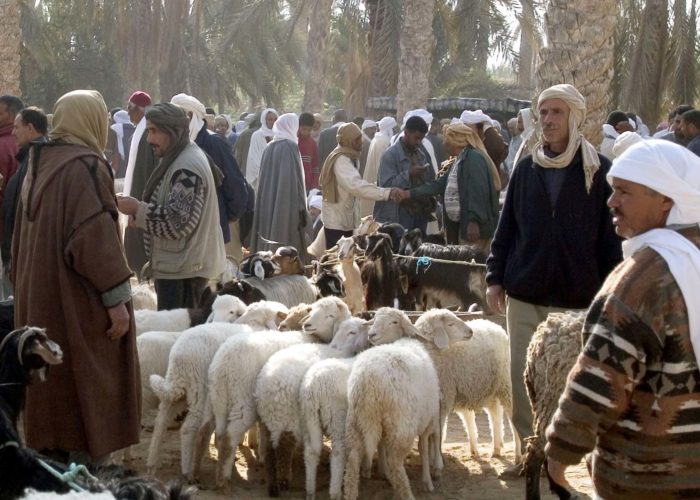 Douz Sahara Market Tunisia