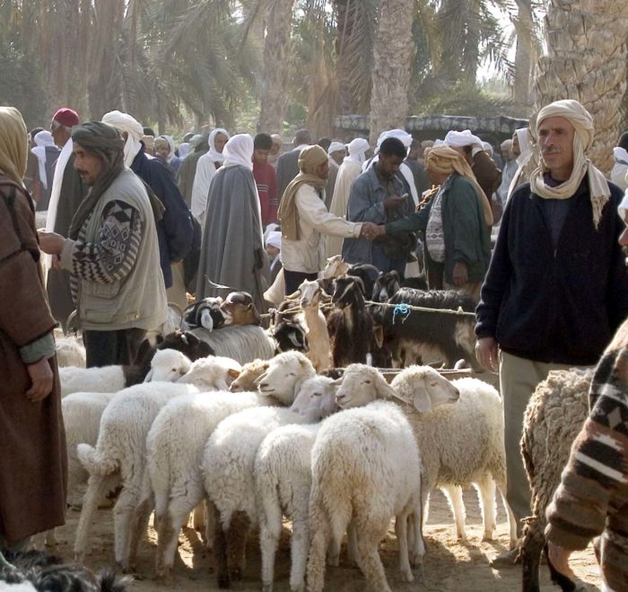 Douz Sahara Market Tunisia