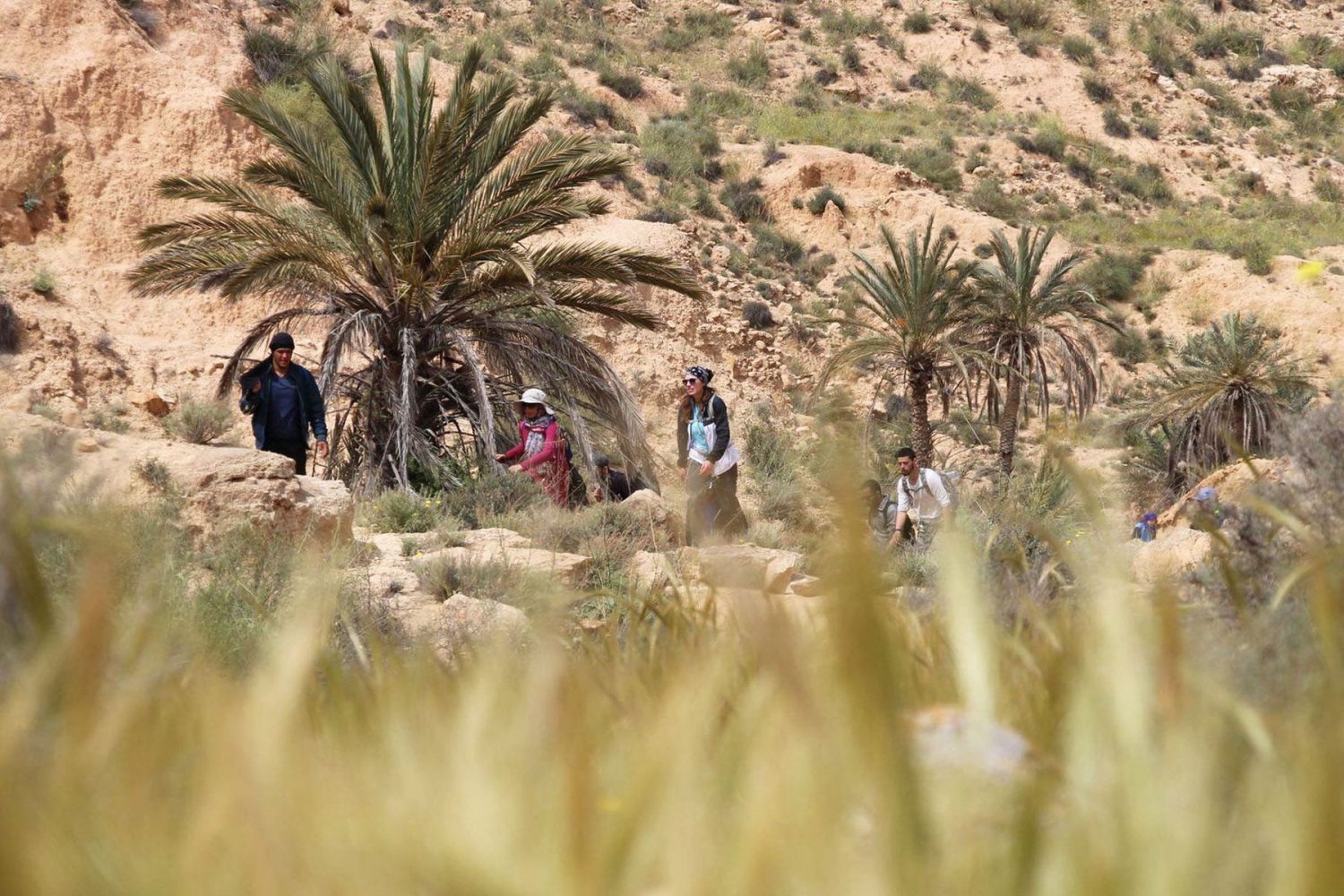 Hiking Tour Through Berber Villages