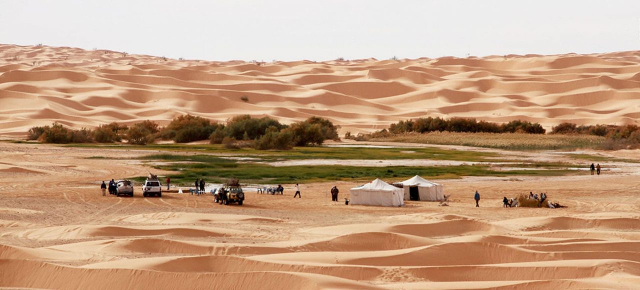 Sahara Camel Trek Tunisia