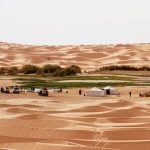Sahara Camel Trek Tunisia