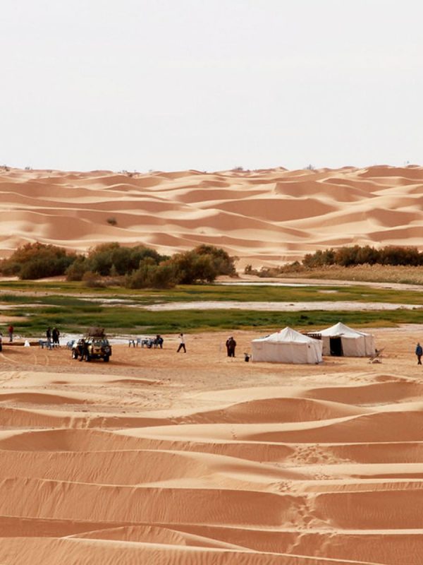 Sahara Camel Trek Tunisia