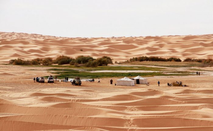 Sahara Camel Trek Tunisia