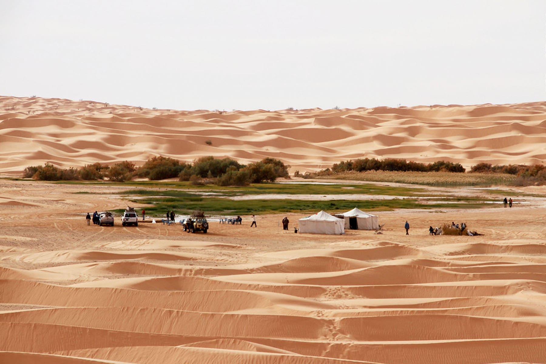 Sahara Camel Trek Tunisia