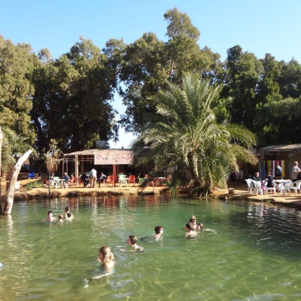 Ksar Ghilane Oasis Tunisia then overnight in the desert