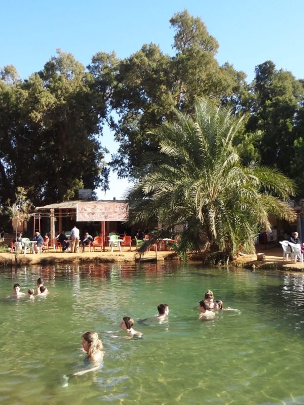 Ksar Ghilane Oasis Tunisia then overnight in the desert