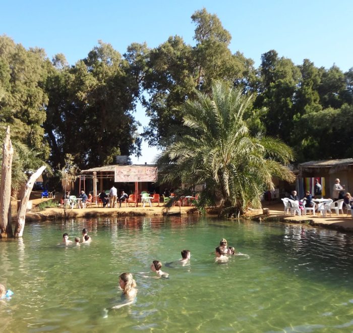 Ksar Ghilane Oasis Tunisia then overnight in the desert
