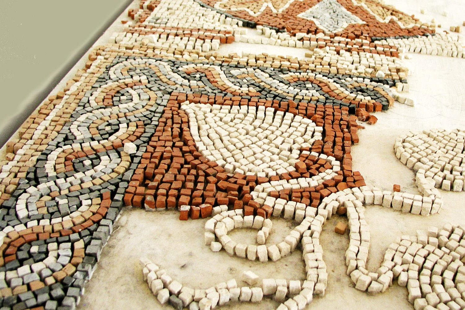 Mosaico romanos El Djem Tunez