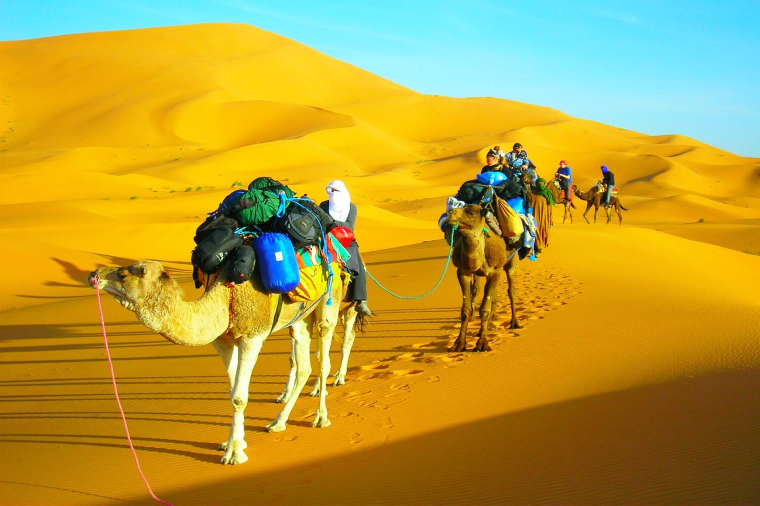 Sahara Camel Trek Tunisia