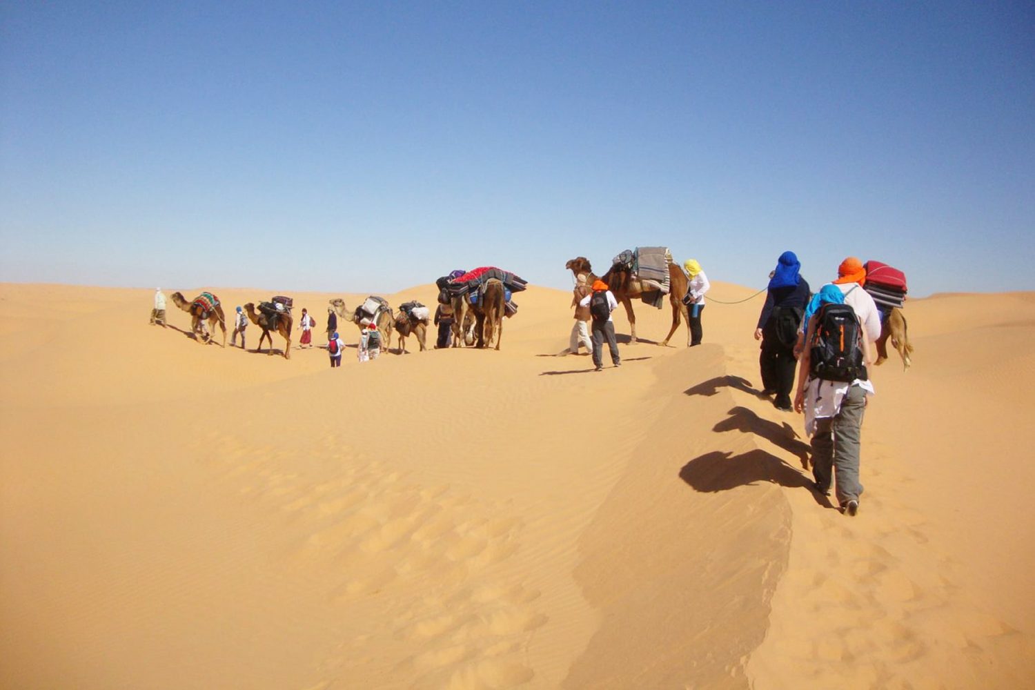 Tunisian Sahara Desert Trek in a loop from Douz